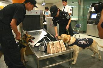 X-ray machines are checking passengers' bags. Sniffer dogs are double checking to ensure no forbidden items are carried on board.