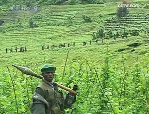 Tutsi rebels in the Democratic Republic of Congo have declared a unilateral cease-fire, stopping just short of entering the strategic city of Goma.(CCTV.com)