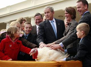 US President George W. Bush (C) gathers with children and National Turkey Federation officials as he pardons "Pumpkin", the 2008 Thanksgiving turkey, during a ceremony in the Rose Garden of the White House in Washington November 26, 2008.[Agencies]