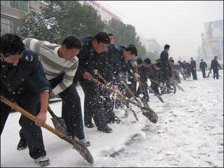 这一年,一场雪灾毁了人们