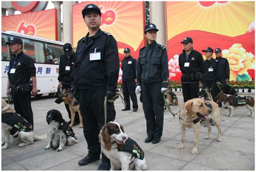 cctv警犬档案图片